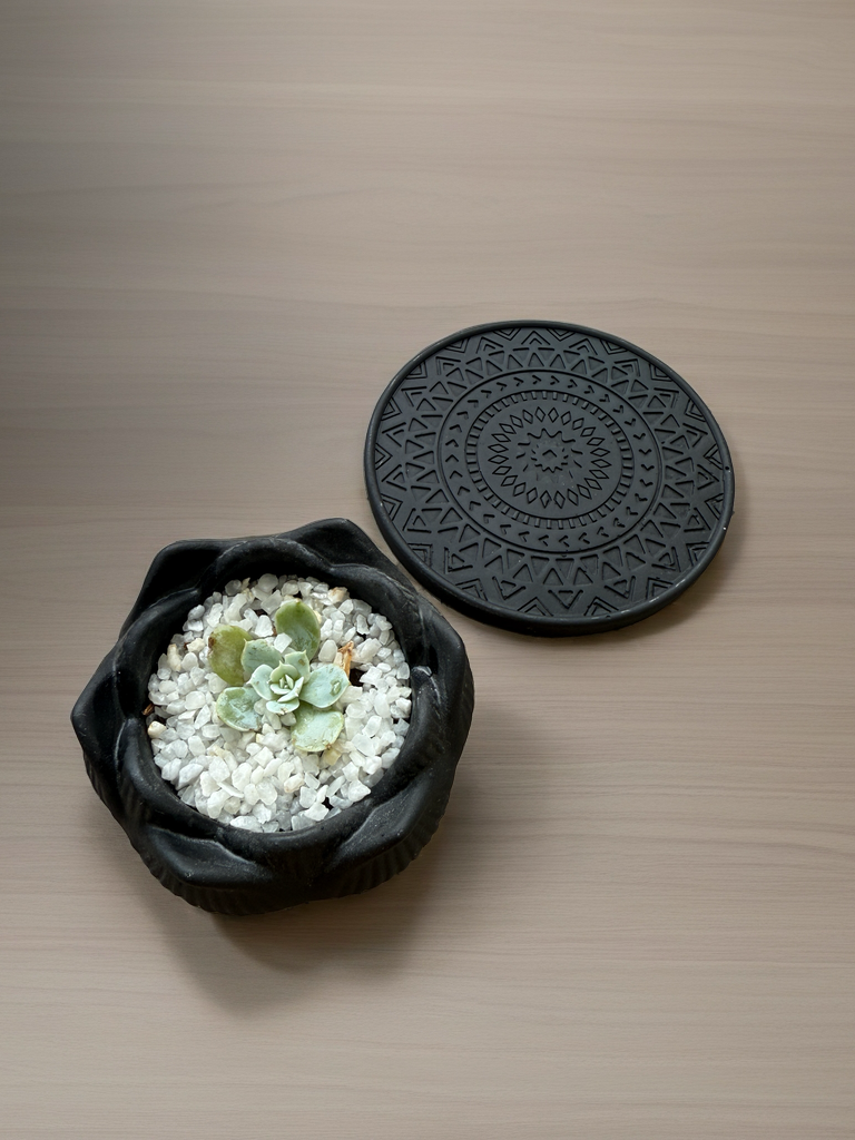 Set Mandala & Suculenta Flor de Loto