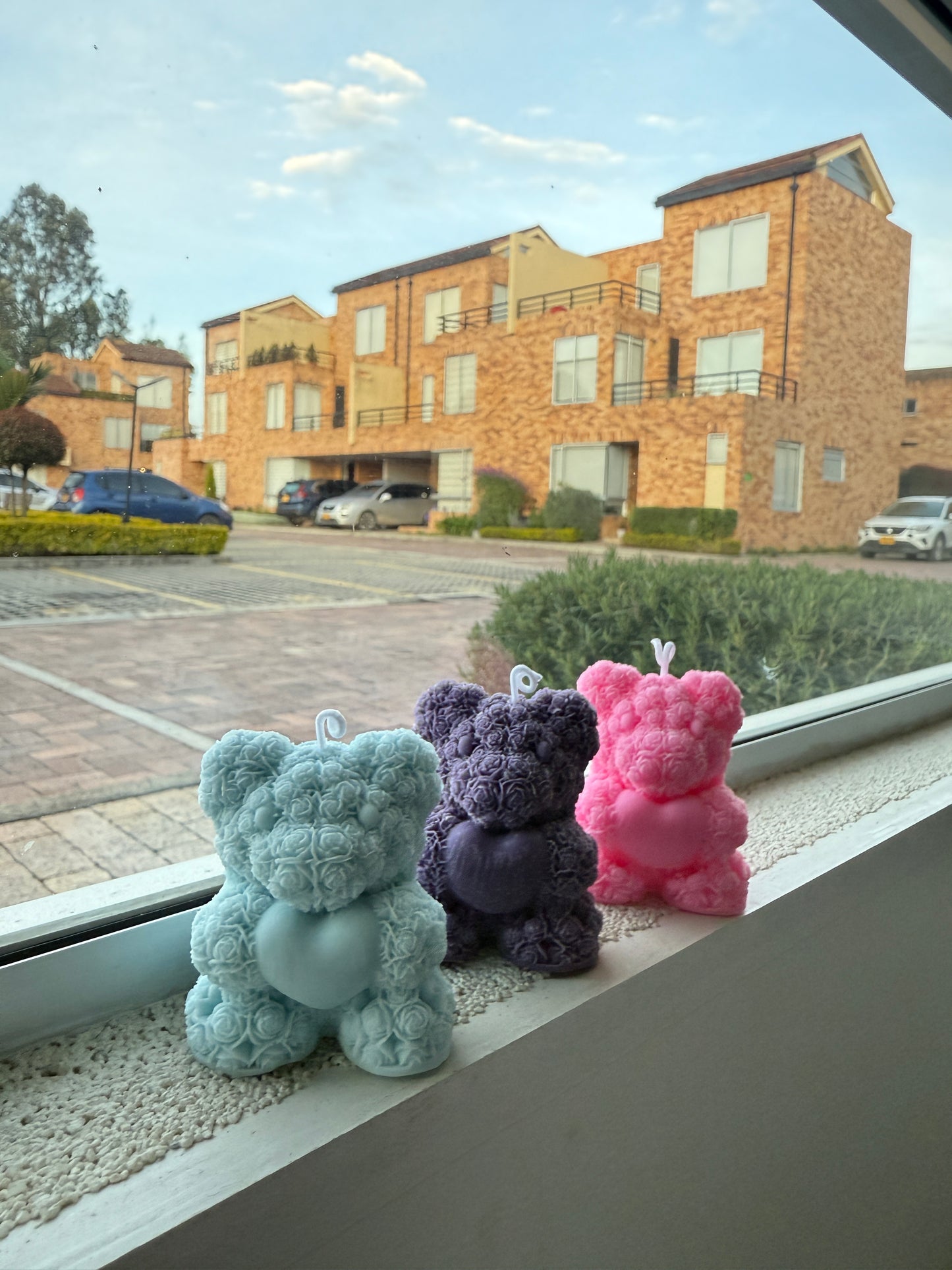 Ositos🐻