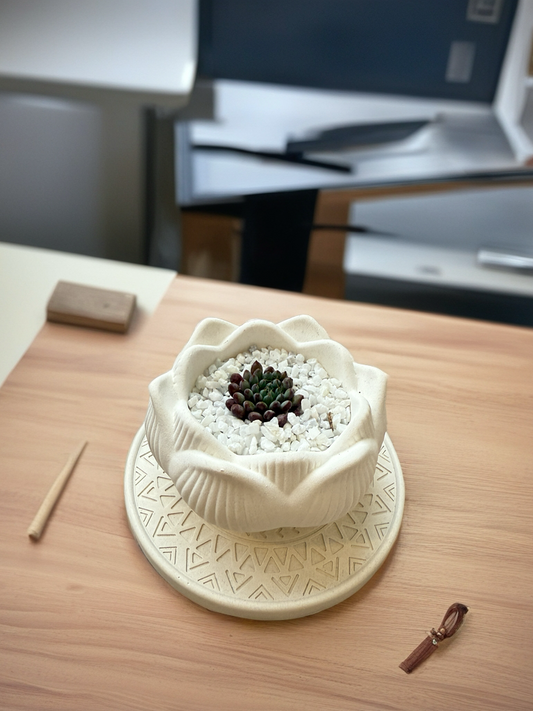 Set Mandala & Suculenta Flor de Loto
