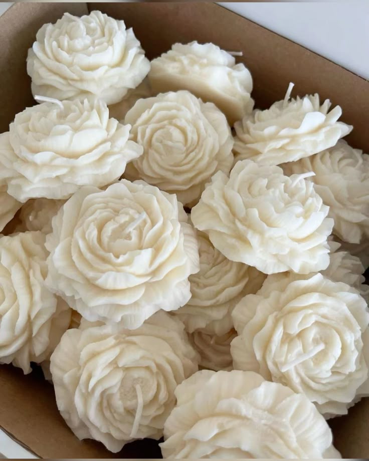 Flores🌸
