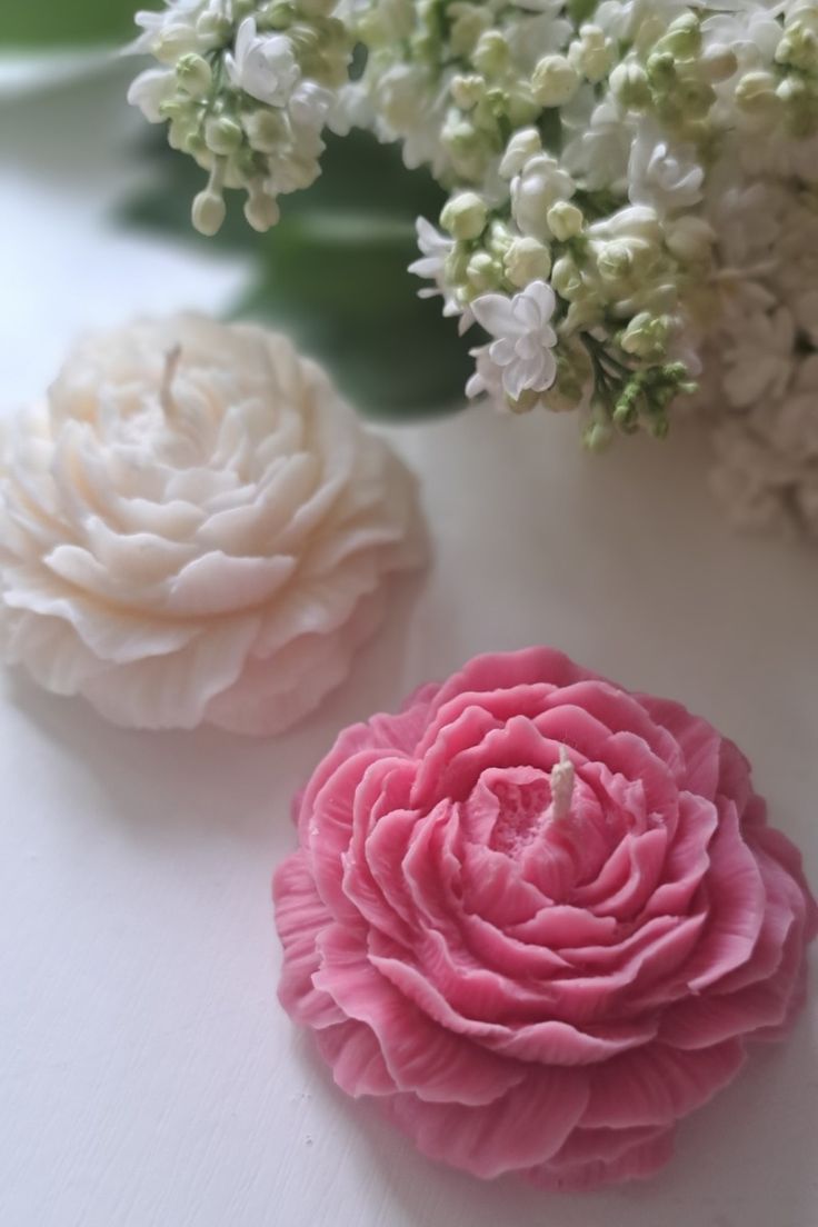 Flores🌸